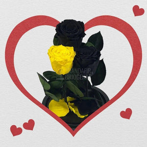 3 Trandafiri Criogenati, 2 negrii si 1 galben, in cupola sticla - Trandafir-Criogenat.ro