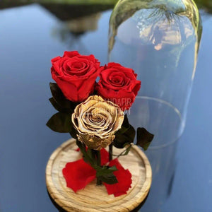 3 Trandafiri Criogenati 2 rosii, 1 auriu Ø6,5cm, cupola 15x25cm - Trandafir-Criogenat.ro