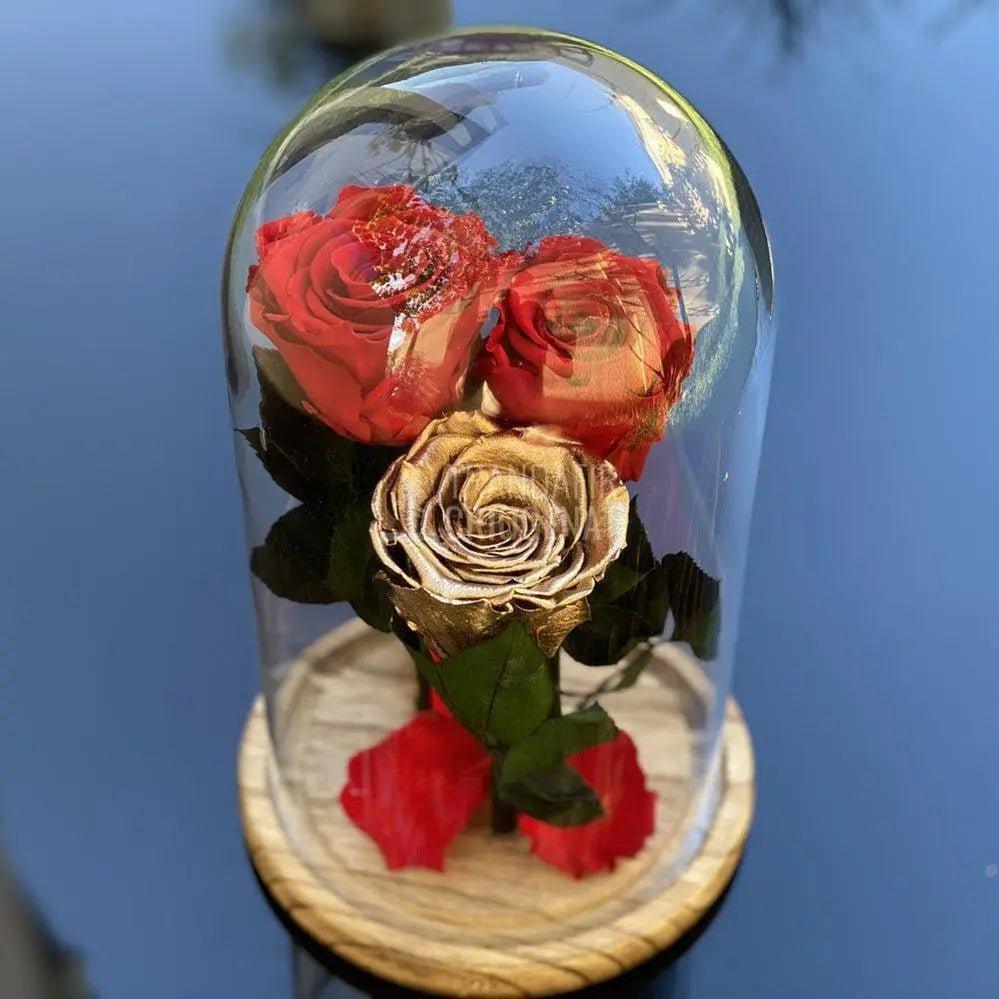 3 Trandafiri Criogenati 2 rosii, 1 auriu Ø6,5cm, cupola 15x25cm - Trandafir-Criogenat.ro