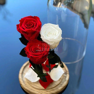 3 Trandafiri Criogenati 2rosii+1alb, Ø6,5cm in cupola de sticla - Trandafir-Criogenat.ro