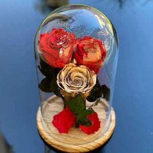 3 Trandafiri Criogenati 2rosii+1auriu, Ø6,5cm in cupola mare - Trandafir-Criogenat.ro