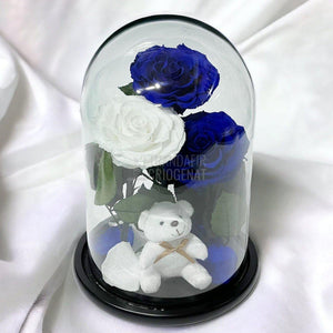 3 Trandafiri Criogenati mari, 2 albastrii, 1 alb, cupola ursulet - Trandafir-Criogenat.ro