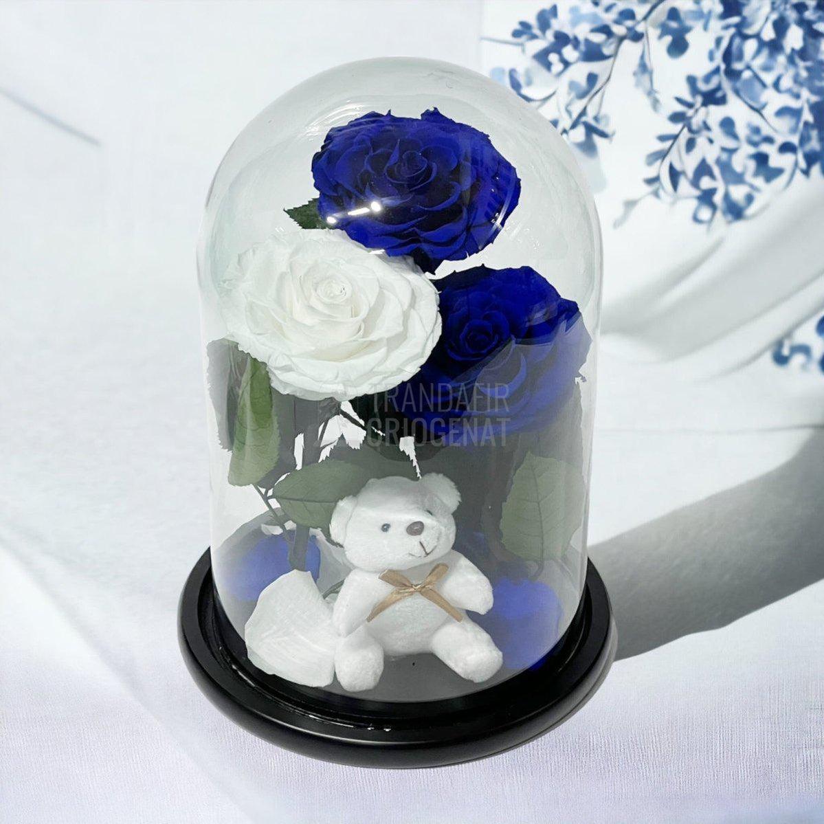 3 Trandafiri Criogenati mari, 2 albastrii, 1 alb, cupola ursulet - Trandafir-Criogenat.ro