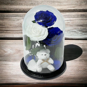 3 Trandafiri Criogenati mari, 2 albastrii, 1 alb, cupola ursulet - Trandafir-Criogenat.ro