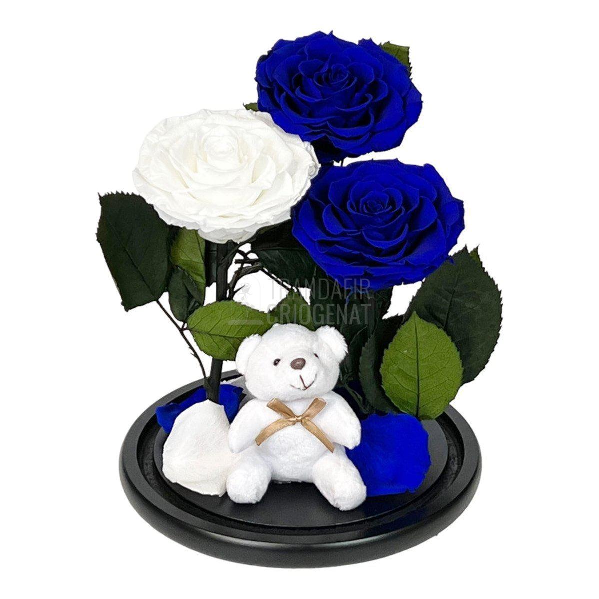 3 Trandafiri Criogenati mari, 2 albastrii, 1 alb, cupola ursulet - Trandafir-Criogenat.ro
