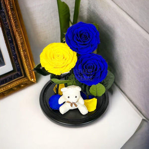 3 Trandafiri Criogenati mari, 2 albastrii, 1 galben, cupola ursulet - Trandafir-Criogenat.ro