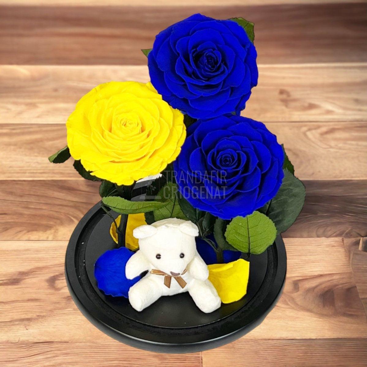 3 Trandafiri Criogenati mari, 2 albastrii, 1 galben, cupola ursulet - Trandafir-Criogenat.ro