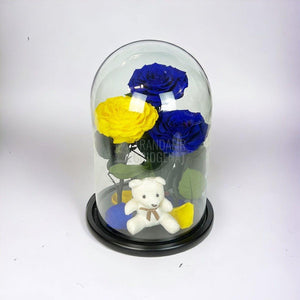 3 Trandafiri Criogenati mari, 2 albastrii, 1 galben, cupola ursulet - Trandafir-Criogenat.ro