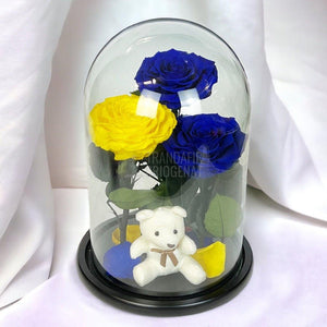 3 Trandafiri Criogenati mari, 2 albastrii, 1 galben, cupola ursulet - Trandafir-Criogenat.ro