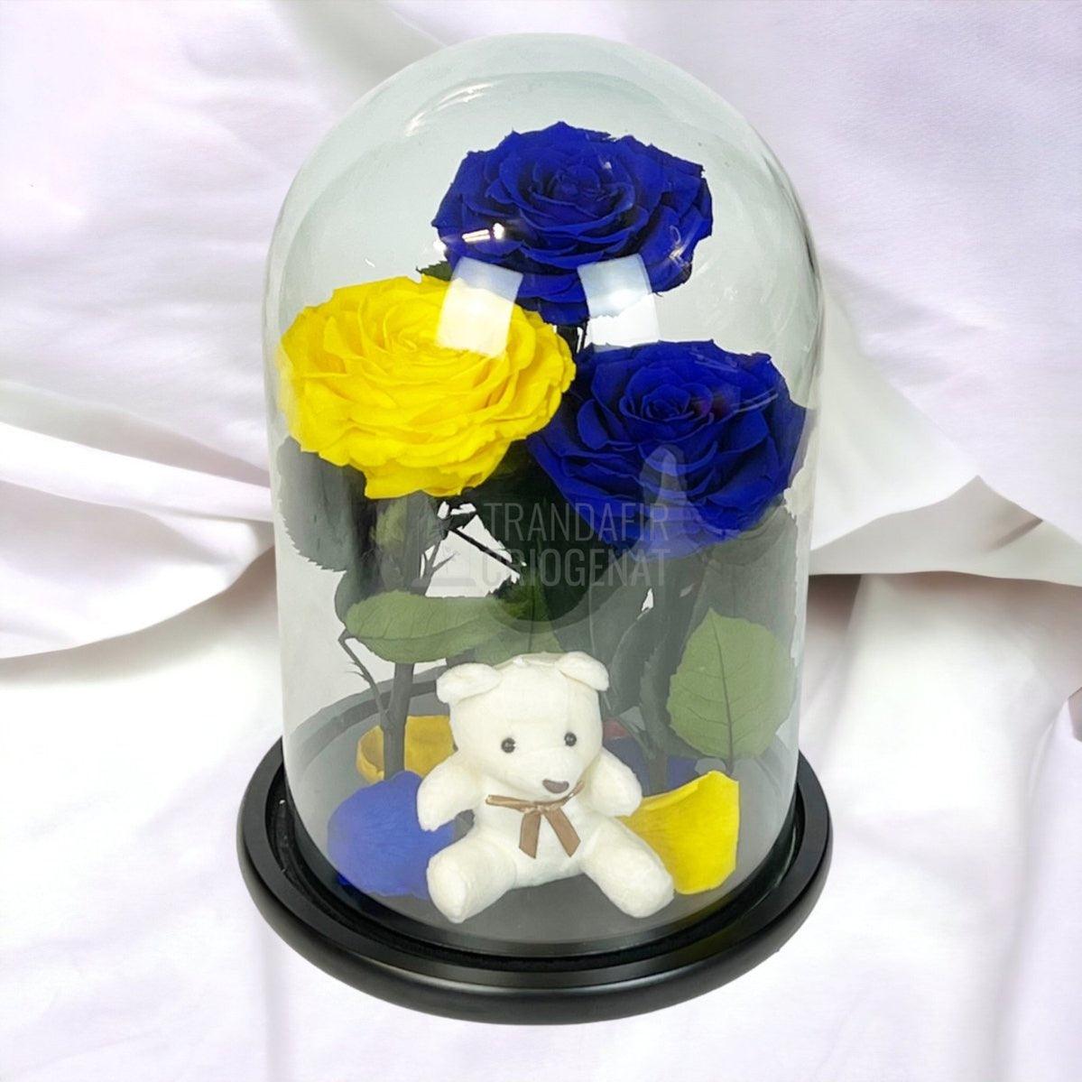 3 Trandafiri Criogenati mari, 2 albastrii, 1 galben, cupola ursulet - Trandafir-Criogenat.ro
