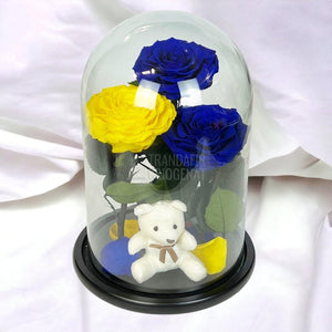 3 Trandafiri Criogenati mari, 2 albastrii, 1 galben, cupola ursulet - Trandafir-Criogenat.ro