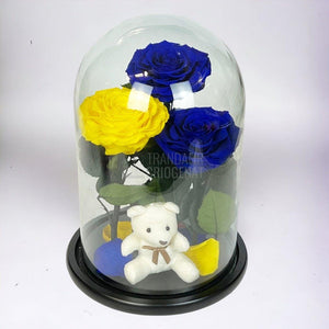 3 Trandafiri Criogenati mari, 2 albastrii, 1 galben, cupola ursulet - Trandafir-Criogenat.ro