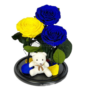 3 Trandafiri Criogenati mari, 2 albastrii, 1 galben, cupola ursulet - Trandafir-Criogenat.ro