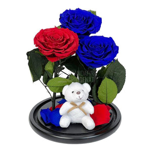 3 Trandafiri Criogenati mari, 2 albastrii, 1 rosu, cupola ursulet - Trandafir-Criogenat.ro