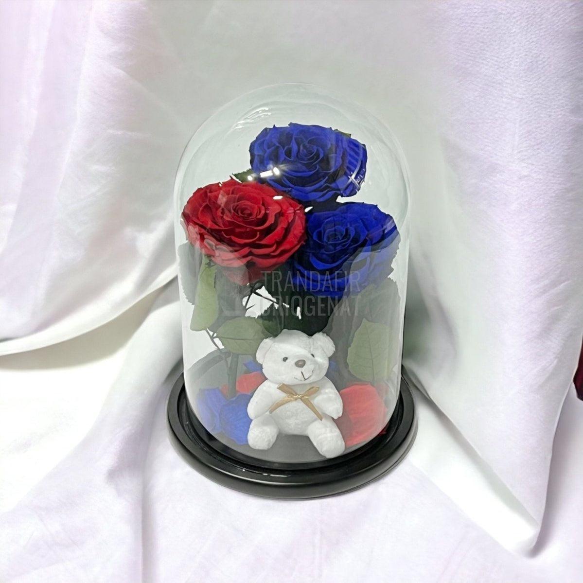 3 Trandafiri Criogenati mari, 2 albastrii, 1 rosu, cupola ursulet - Trandafir-Criogenat.ro