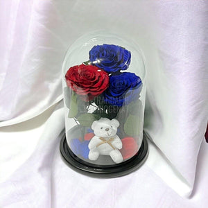 3 Trandafiri Criogenati mari, 2 albastrii, 1 rosu, cupola ursulet - Trandafir-Criogenat.ro