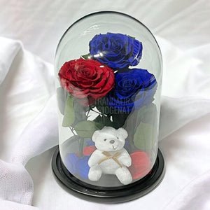 3 Trandafiri Criogenati mari, 2 albastrii, 1 rosu, cupola ursulet - Trandafir-Criogenat.ro