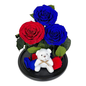 3 Trandafiri Criogenati mari, 2 albastrii, 1 rosu, cupola ursulet - Trandafir-Criogenat.ro