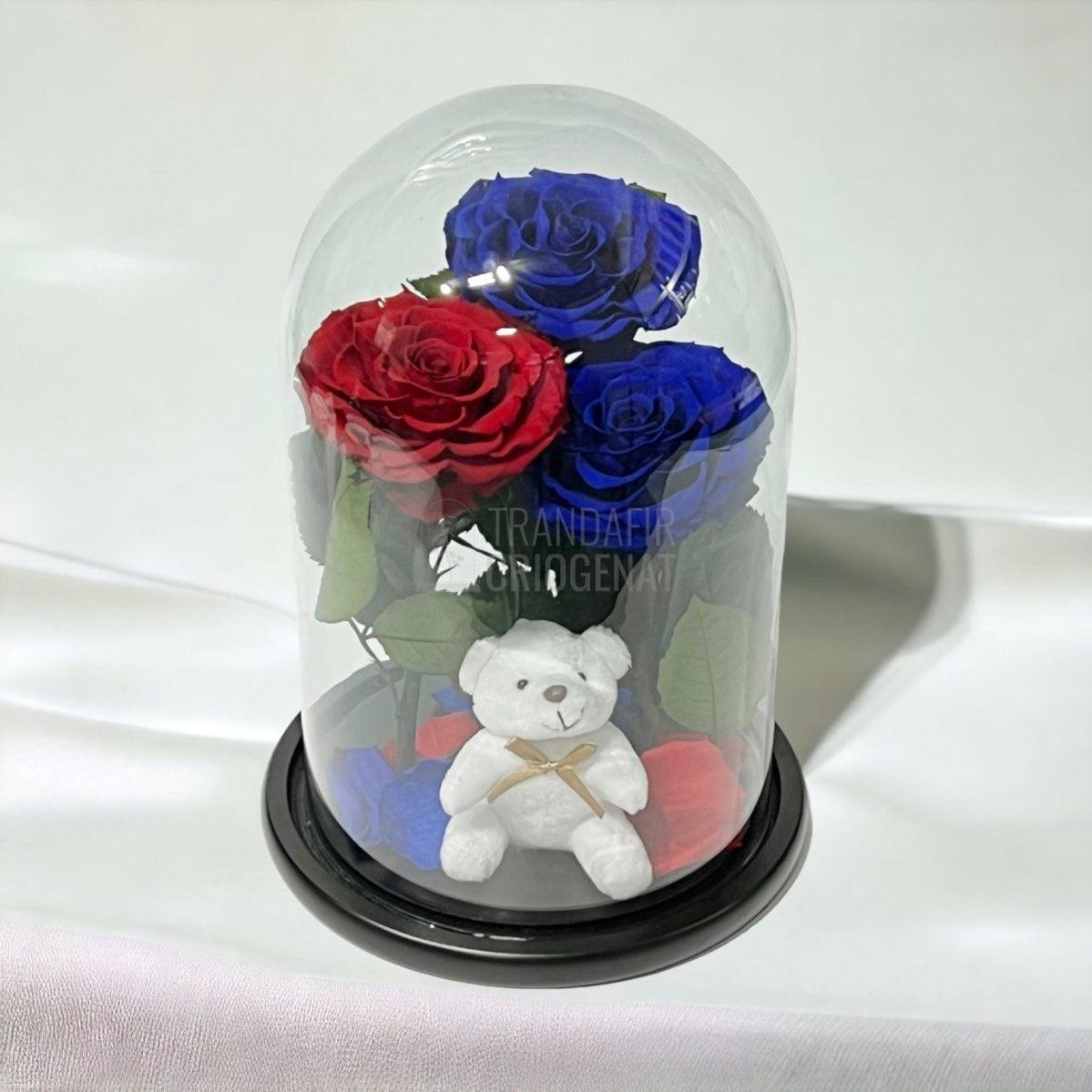 3 Trandafiri Criogenati mari, 2 albastrii, 1 rosu, cupola ursulet - Trandafir-Criogenat.ro