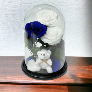 3 Trandafiri Criogenati mari, 2 albi, 1 albastru, cupola ursulet - Trandafir-Criogenat.ro