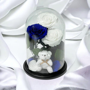 3 Trandafiri Criogenati mari, 2 albi, 1 albastru, cupola ursulet - Trandafir-Criogenat.ro