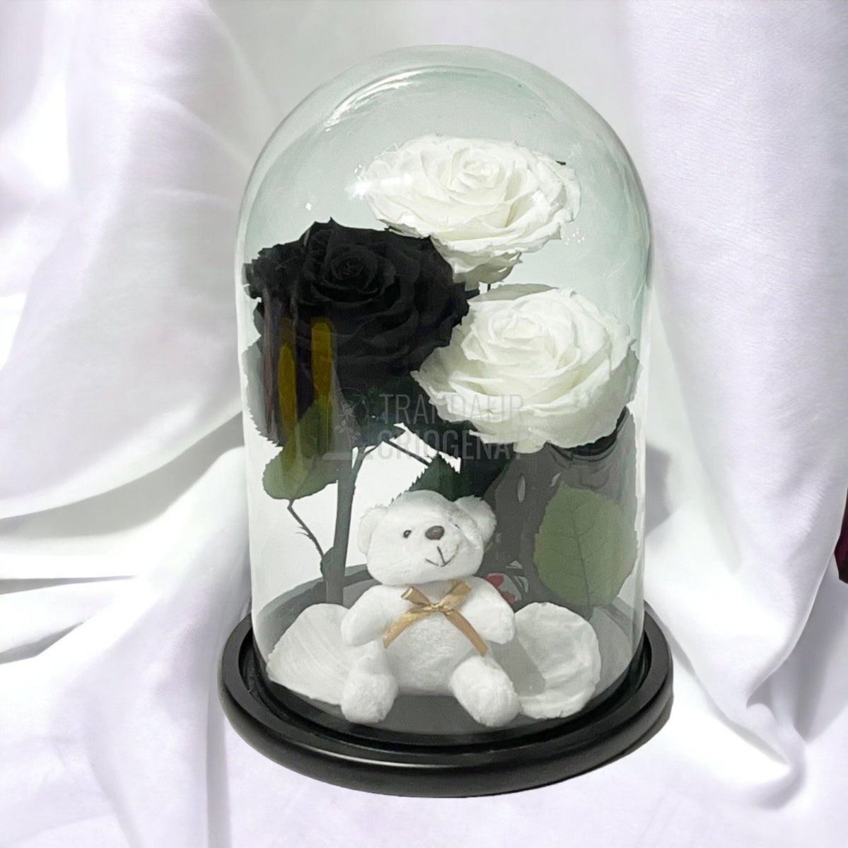 3 Trandafiri Criogenati mari, 2 albi, 1 negru, cupola cu ursulet - Trandafir-Criogenat.ro