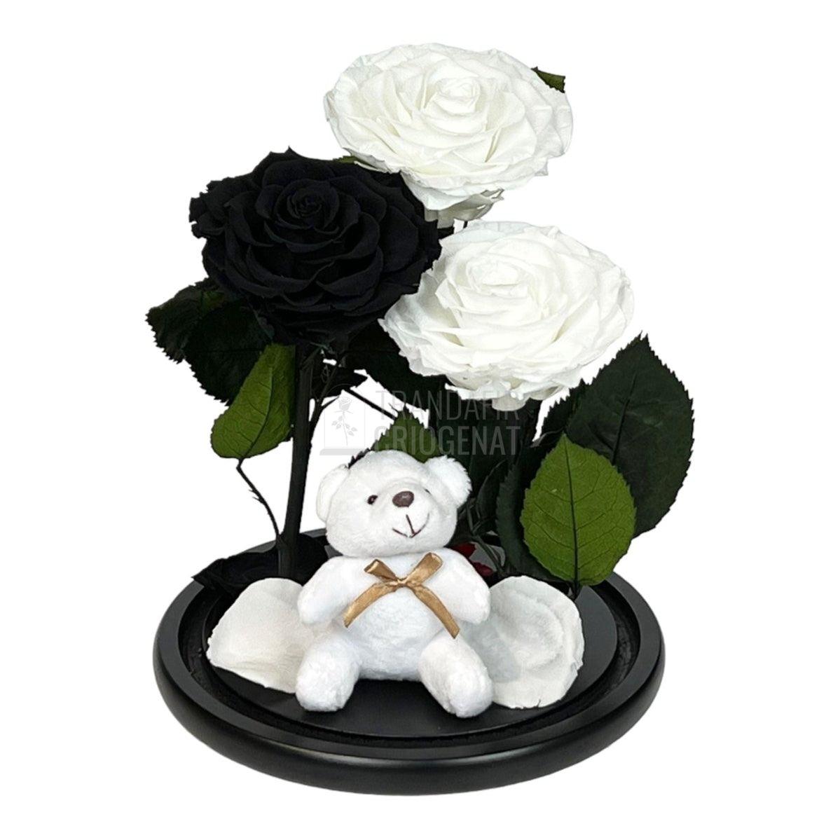 3 Trandafiri Criogenati mari, 2 albi, 1 negru, cupola cu ursulet - Trandafir-Criogenat.ro