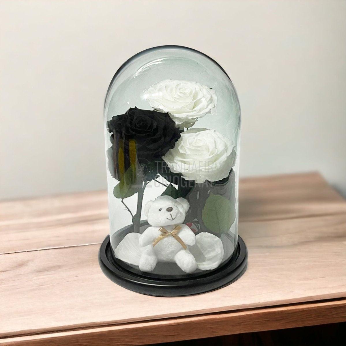 3 Trandafiri Criogenati mari, 2 albi, 1 negru, cupola cu ursulet - Trandafir-Criogenat.ro