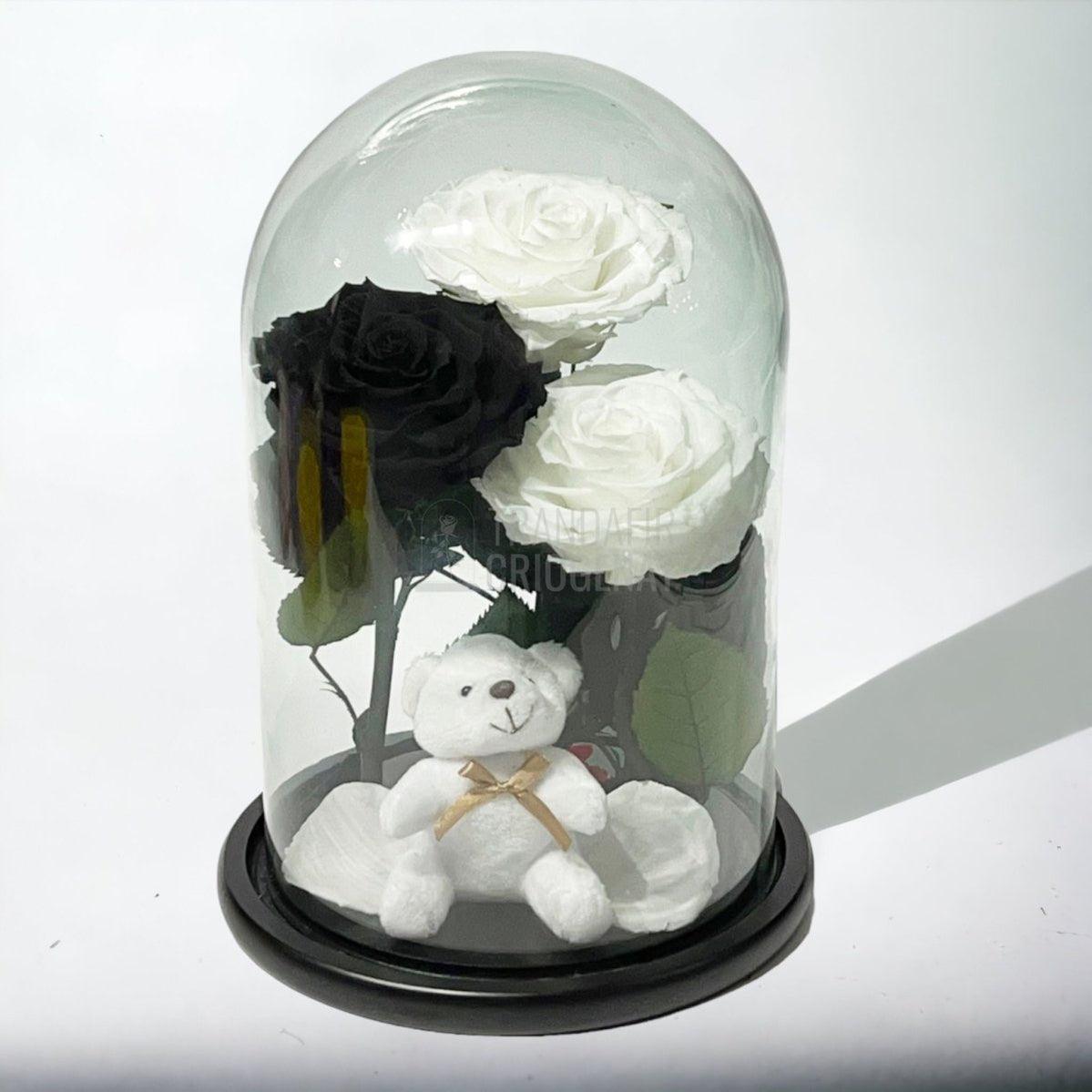 3 Trandafiri Criogenati mari, 2 albi, 1 negru, cupola cu ursulet - Trandafir-Criogenat.ro