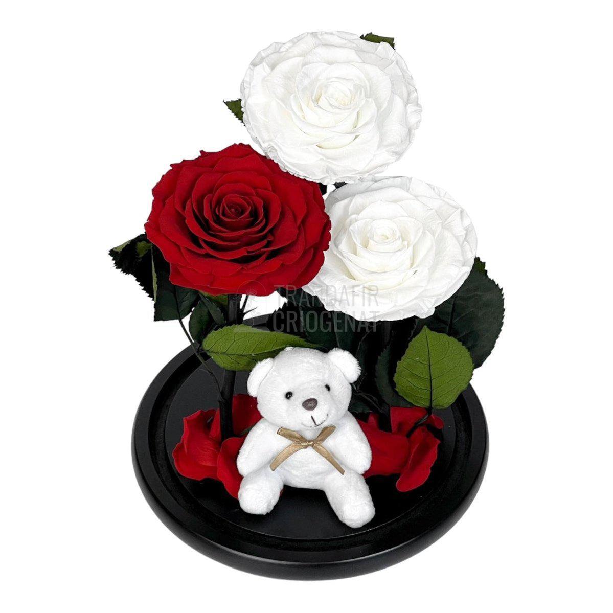 3 Trandafiri Criogenati mari, 2 albi, 1 rosu, cupola ursulet - Trandafir-Criogenat.ro