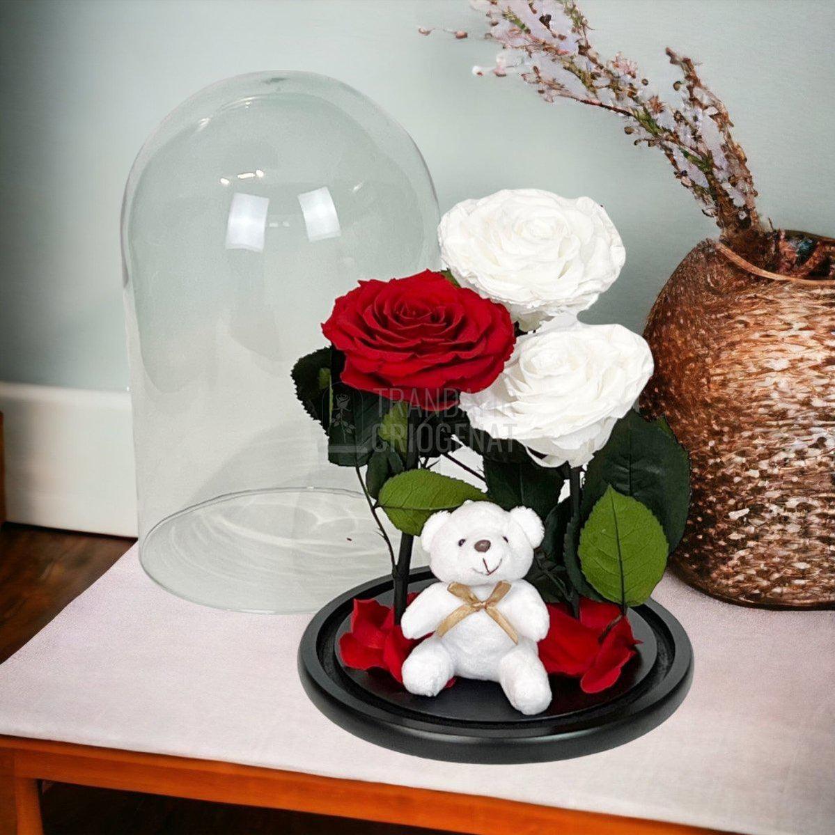 3 Trandafiri Criogenati mari, 2 albi, 1 rosu, cupola ursulet - Trandafir-Criogenat.ro