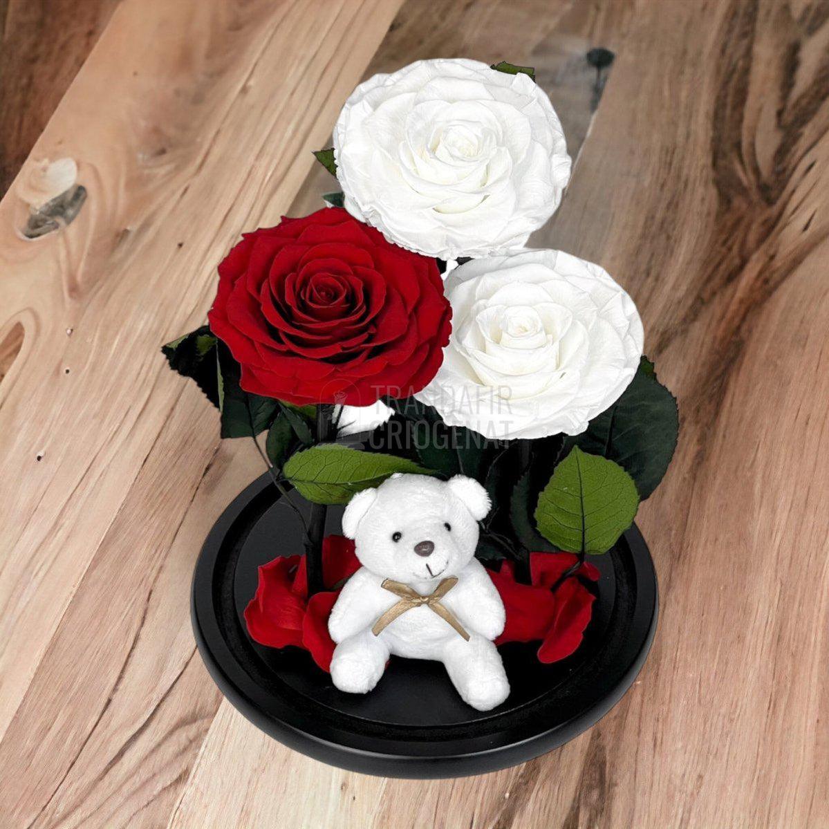 3 Trandafiri Criogenati mari, 2 albi, 1 rosu, cupola ursulet - Trandafir-Criogenat.ro