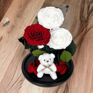 3 Trandafiri Criogenati mari, 2 albi, 1 rosu, cupola ursulet - Trandafir-Criogenat.ro