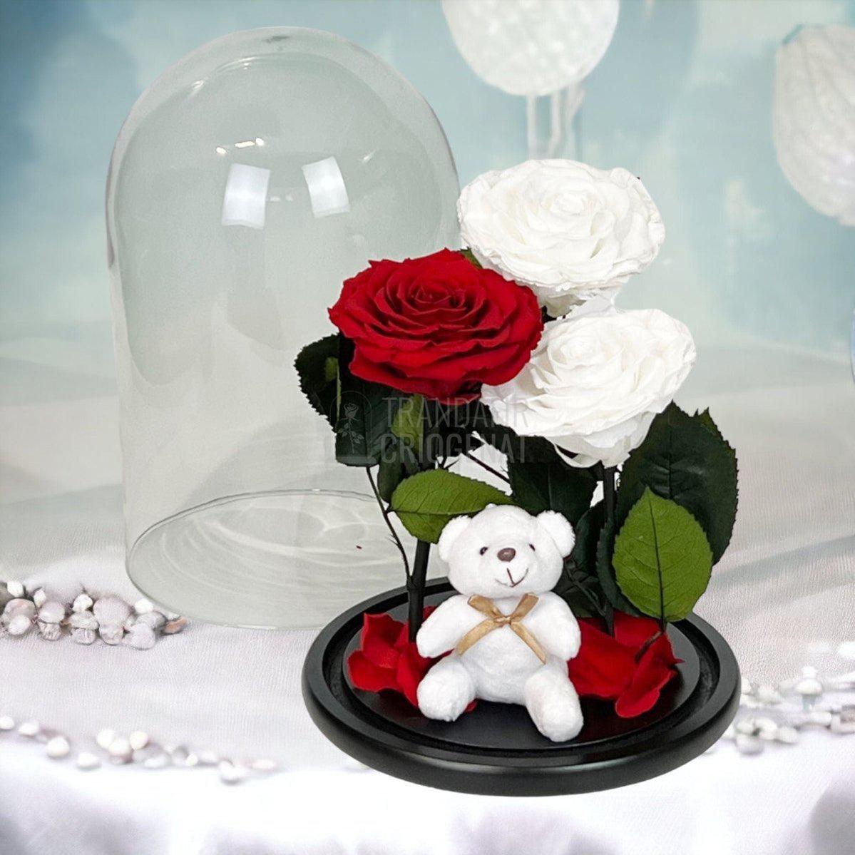3 Trandafiri Criogenati mari, 2 albi, 1 rosu, cupola ursulet - Trandafir-Criogenat.ro