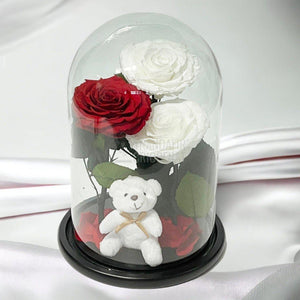 3 Trandafiri Criogenati mari, 2 albi, 1 rosu, cupola ursulet - Trandafir-Criogenat.ro