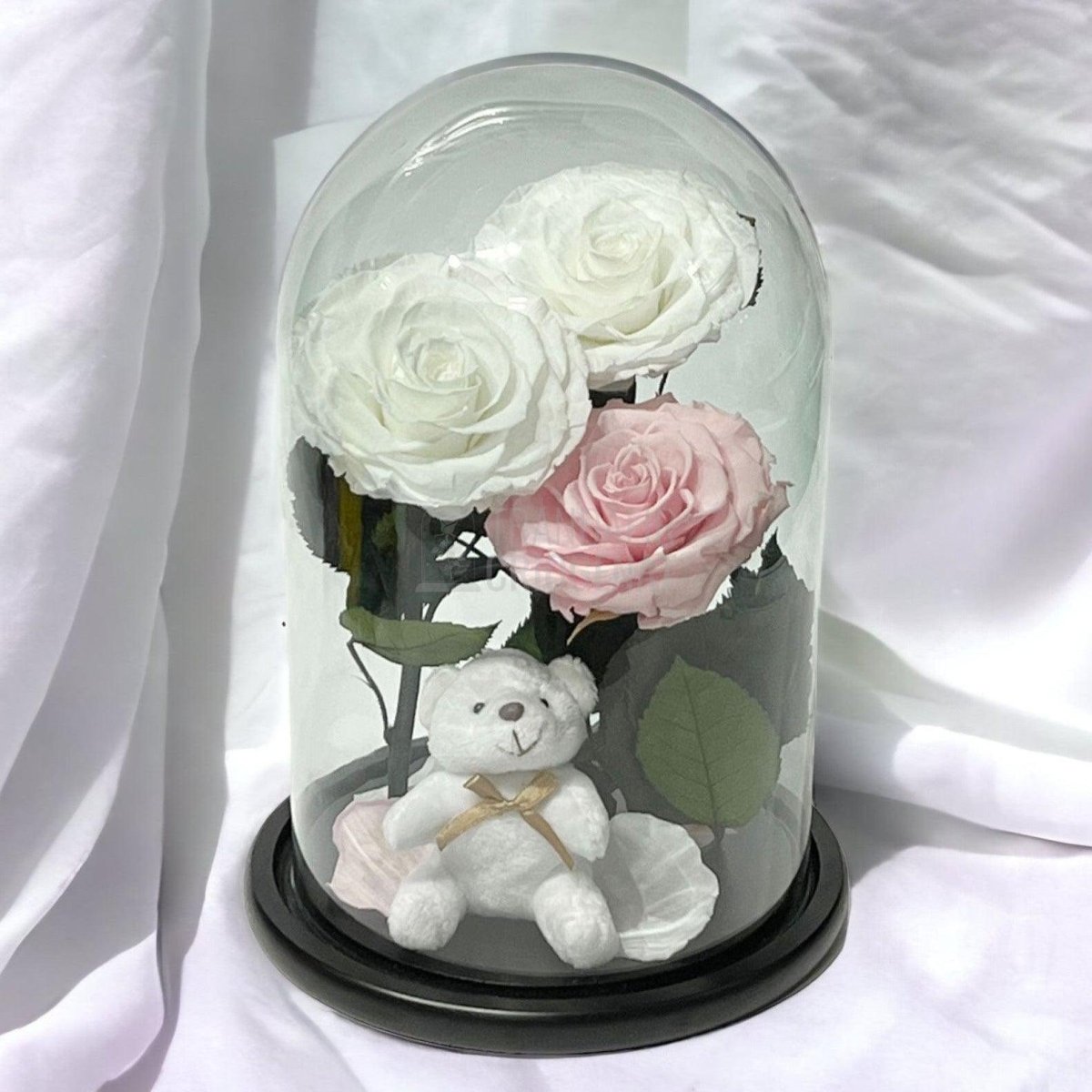 3 Trandafiri Criogenati mari, 2 albi, 1 roz, cupola cu ursulet - Trandafir-Criogenat.ro