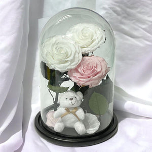 3 Trandafiri Criogenati mari, 2 albi, 1 roz, cupola cu ursulet - Trandafir-Criogenat.ro