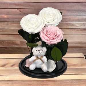 3 Trandafiri Criogenati mari, 2 albi, 1 roz, cupola cu ursulet - Trandafir-Criogenat.ro