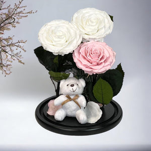 3 Trandafiri Criogenati mari, 2 albi, 1 roz, cupola cu ursulet - Trandafir-Criogenat.ro