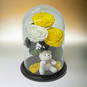 3 Trandafiri Criogenati mari, 2 galbeni, 1 alb, cupola ursulet - Trandafir-Criogenat.ro