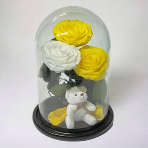 3 Trandafiri Criogenati mari, 2 galbeni, 1 alb, cupola ursulet - Trandafir-Criogenat.ro