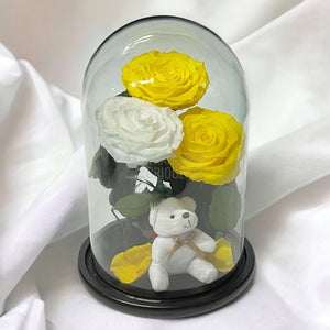 3 Trandafiri Criogenati mari, 2 galbeni, 1 alb, cupola ursulet - Trandafir-Criogenat.ro