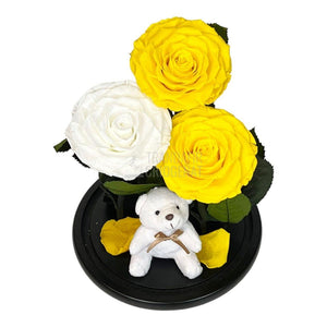 3 Trandafiri Criogenati mari, 2 galbeni, 1 alb, cupola ursulet - Trandafir-Criogenat.ro