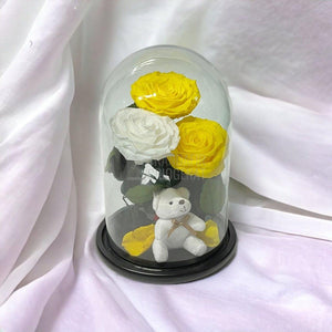 3 Trandafiri Criogenati mari, 2 galbeni, 1 alb, cupola ursulet - Trandafir-Criogenat.ro