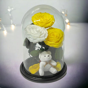 3 Trandafiri Criogenati mari, 2 galbeni, 1 alb, cupola ursulet - Trandafir-Criogenat.ro