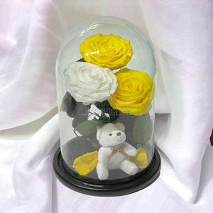 3 Trandafiri Criogenati mari, 2 galbeni, 1 alb, cupola ursulet - Trandafir-Criogenat.ro