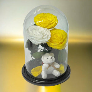 3 Trandafiri Criogenati mari, 2 galbeni, 1 alb, cupola ursulet - Trandafir-Criogenat.ro