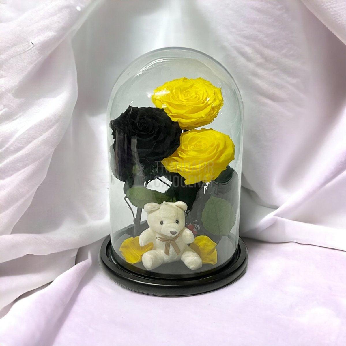 3 Trandafiri Criogenati mari, 2 galbeni, 1 negru, cupola ursulet - Trandafir-Criogenat.ro