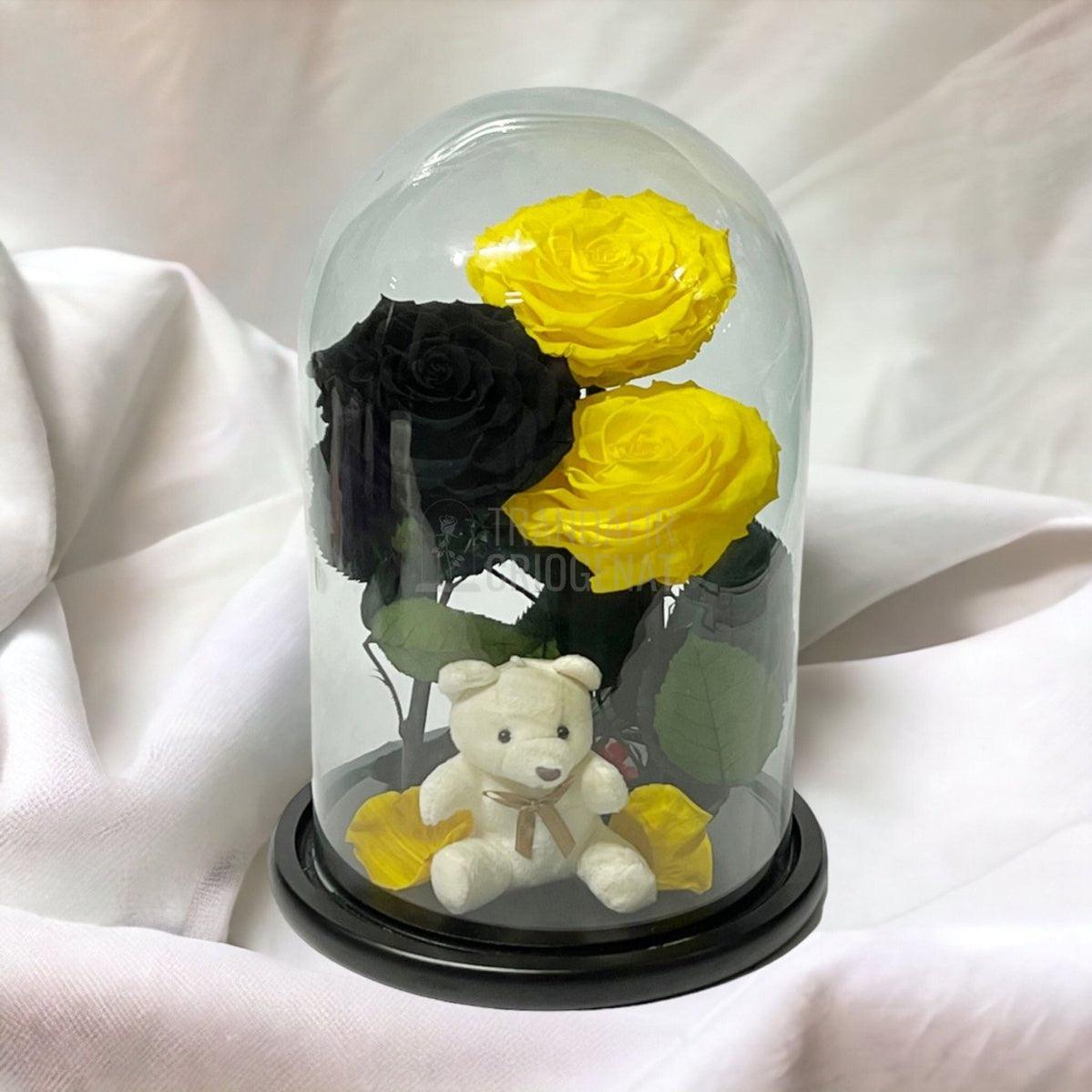 3 Trandafiri Criogenati mari, 2 galbeni, 1 negru, cupola ursulet - Trandafir-Criogenat.ro