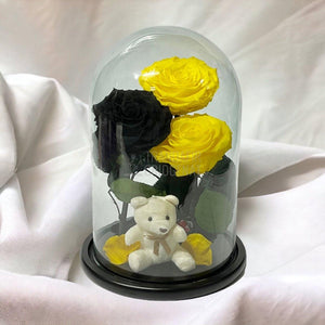 3 Trandafiri Criogenati mari, 2 galbeni, 1 negru, cupola ursulet - Trandafir-Criogenat.ro